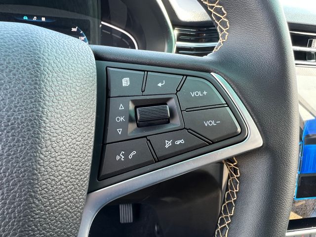 JAC 8 Pro Top Ausstattung