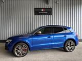 Audi SQ5 3.0 TFSi Quattro tiptronic Panorama/Kamera - Audi SQ5 mit Benzin-Antrieb