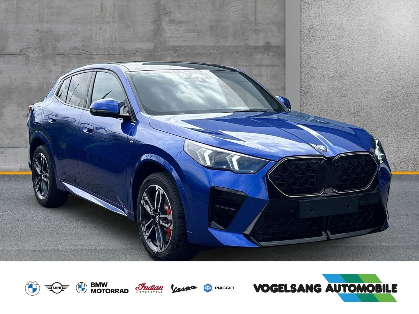 Fahrzeugabbildung BMW X2 20i sDrive M Sport Park-Assistent Sportpaket