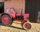 Andere Traktor/ Zugmaschine/ Ackerschlepper MTS 50 - Zugmaschine