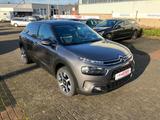 Citroën C4 Cactus 1.6 Blue-HDI FAP - Citroën in Bonn