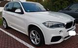 BMW X5 xDrive30d - M Sport-Paket AHK Panoramadach - BMW X5: Panoramadach