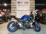 Yamaha MT-03  *Kurzheck & Windschild* - YAMAHA MT03