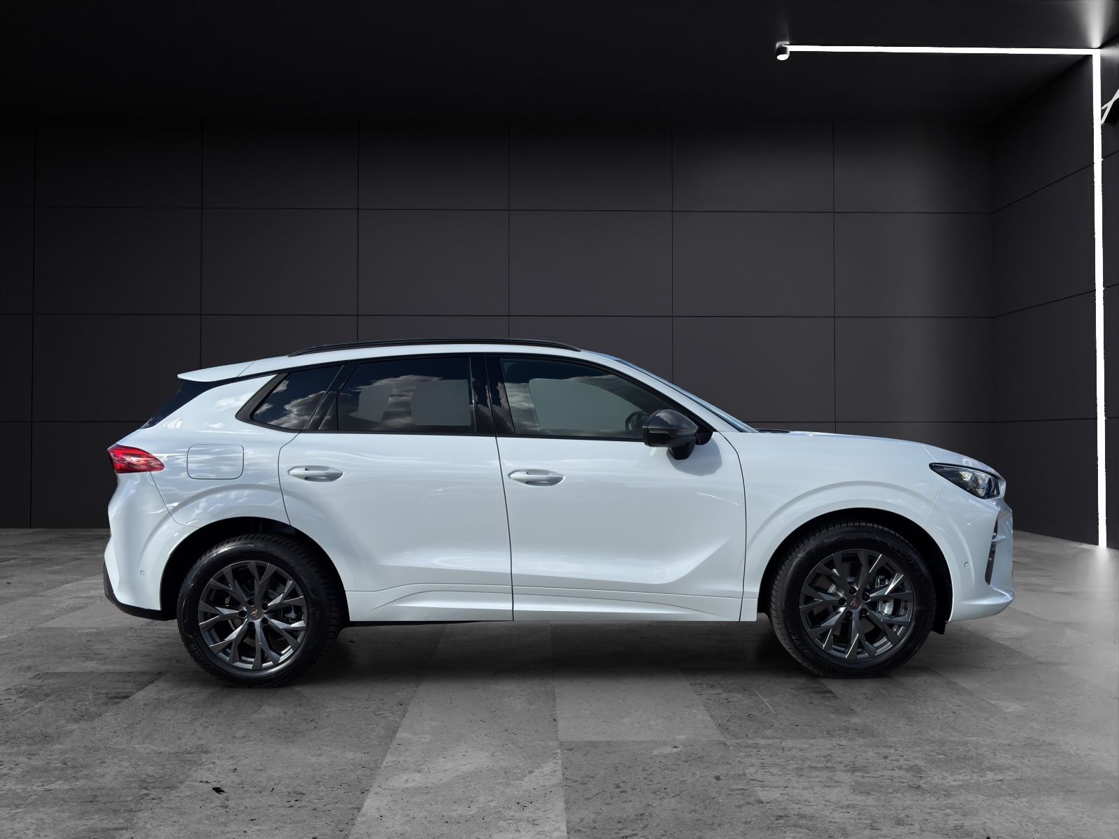 Fahrzeugabbildung CUPRA Terramar 2.0 TSI DSG 4x4 AHZ Matrix LED Pano Key