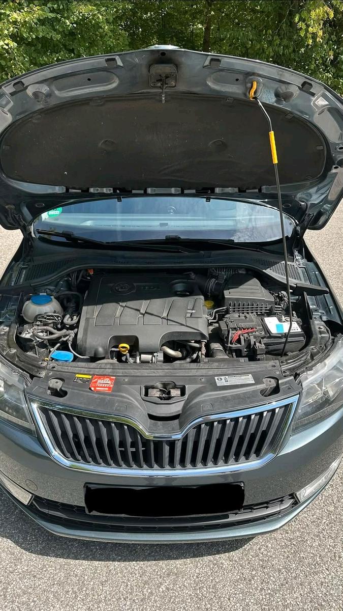 Skoda Rapid 2015 — салон