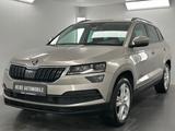 Skoda Karoq Style LED AHK Schwenkbar Kamera DSG Tempo - Skoda Karoq mit Benzin-Antrieb: Geländewagen, Automatik