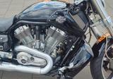 Harley-Davidson V-Rod Muscle Sondermodell Tüv & Inspektion NEU - Offers matching your search criteria