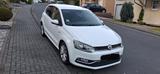 Volkswagen Polo 1.4 TDI 66kW LOUNGE BMT LOUNGE BlueMoti... - Volkswagen Polo: 1l4 TDI