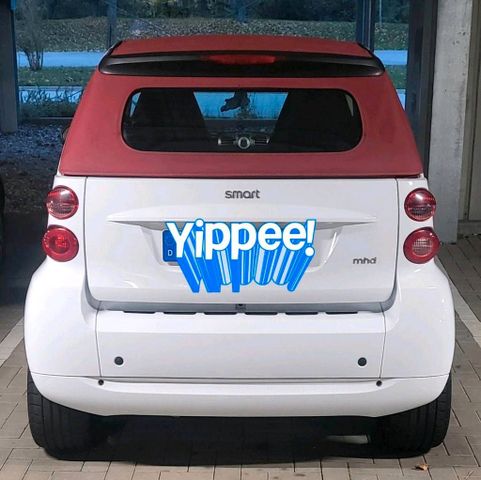 Smart fortwo (wenig Kilometer)