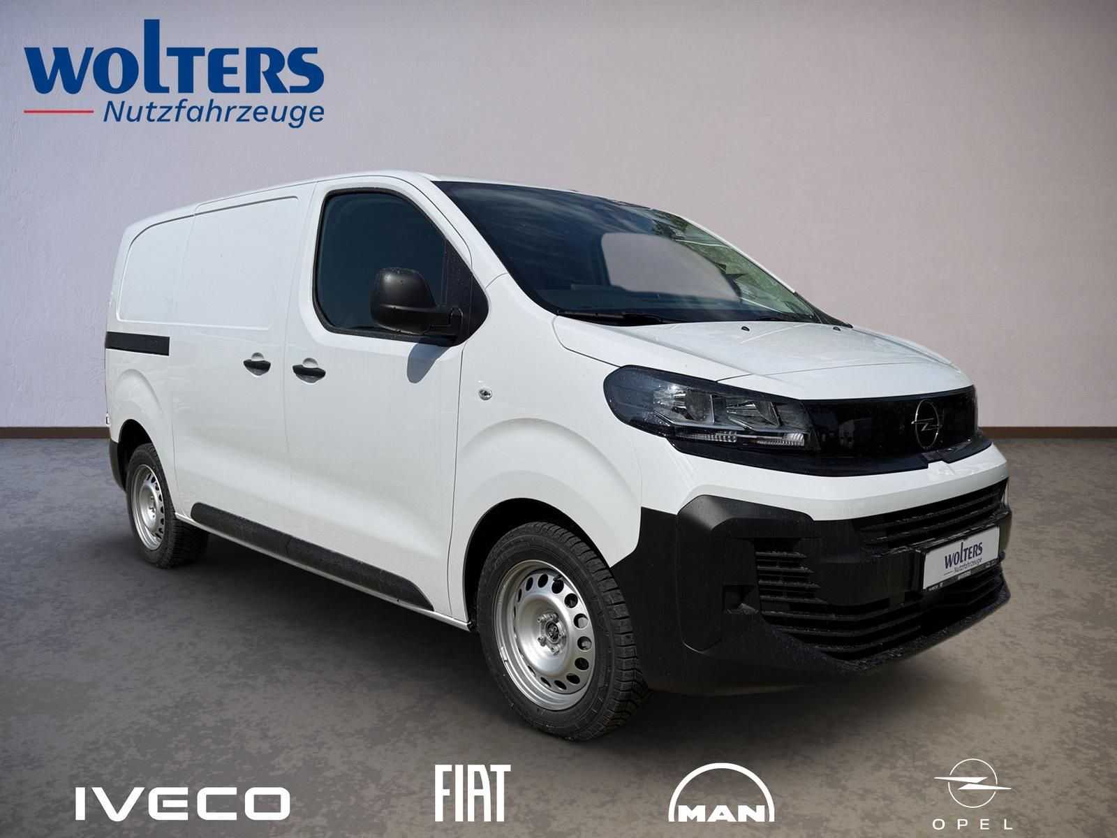 Fahrzeugabbildung Opel Vivaro M Kastenwagen 120 MT6