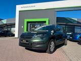 Skoda KAROQ Style 2.0 TDI 110 kW 150 PS DSG 4x4 - Skoda: Grün