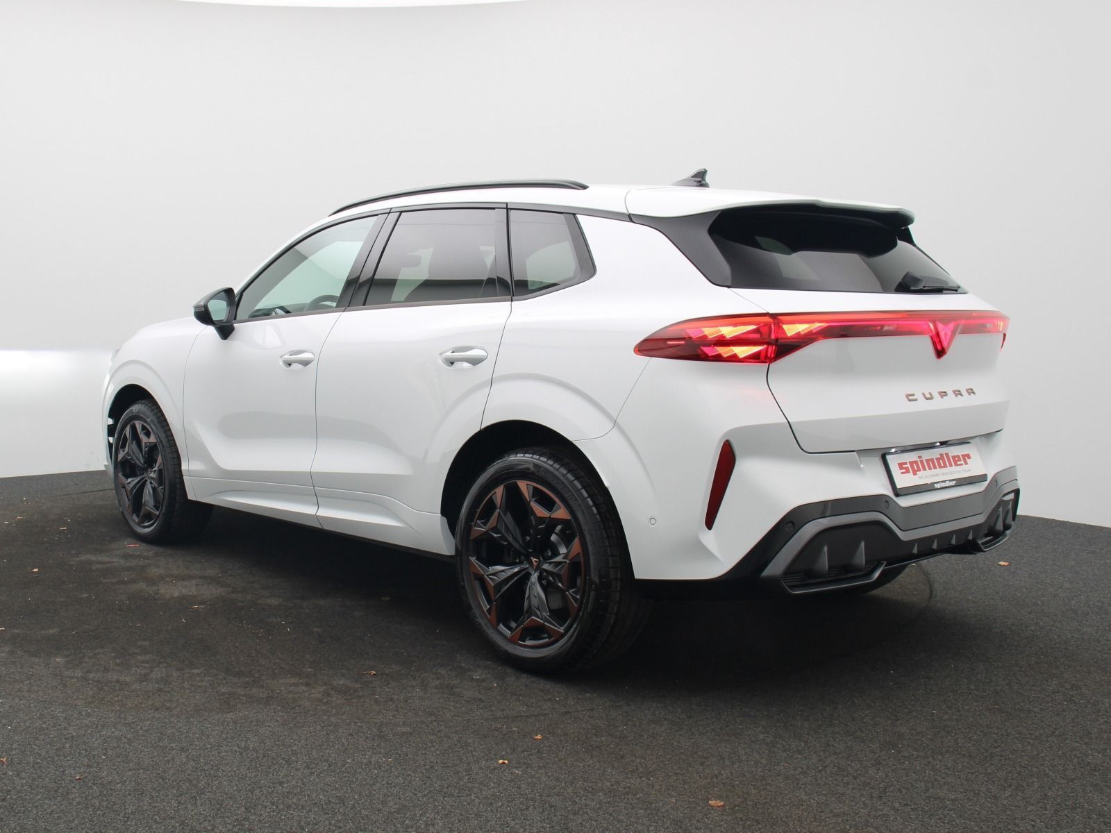 Cupra Terramar VZ 2.0 TSI 4Drive DSG HD-Matrix Navi foto 5