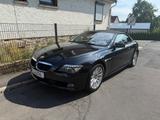 BMW 635d Cabrio - - BMW 635: 635d