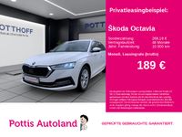 Skoda Octavia - Vorschau Bild 1