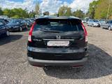 Honda CR-V Executive 4WD Panorama Leder Kamera Navi - Honda CR-V: Executive