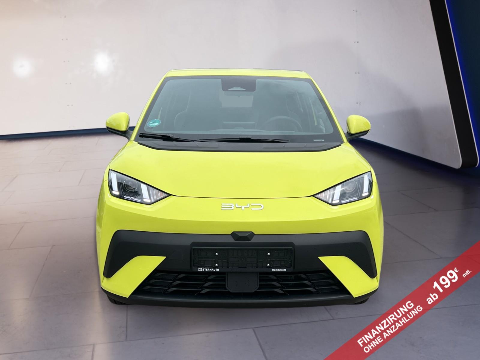 BYD DOLPHIN Dolphin Surf 65KW/1. Hand/Nur 279 KM!!!