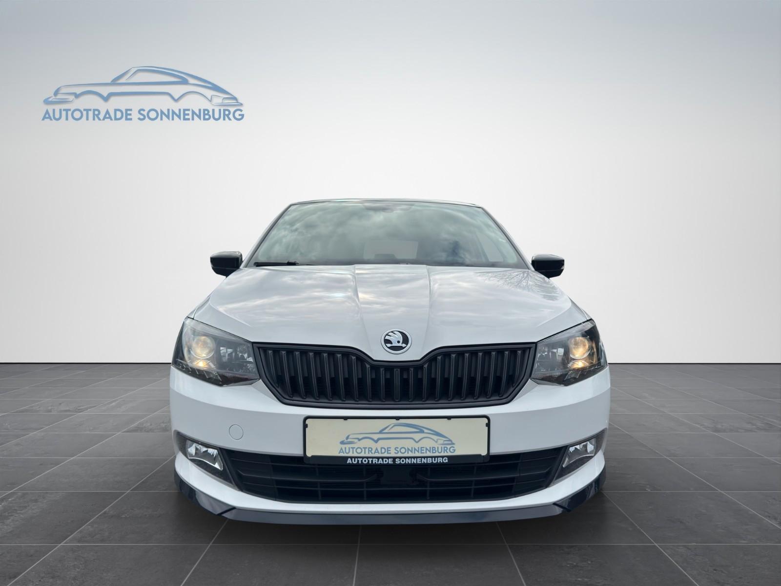 Skoda Fabia Monte Carlo*Panorama