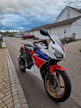 Honda Cbr300r - Offers matching your search criteria