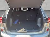 Ford Kuga 2.5 Duratec FHEV 4x4 ST-LINE - Ford Kuga: 4.4