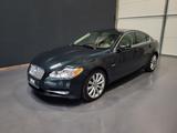 Jaguar XF 3.0d Premium Luxury *TOP Ausstattung| 1.Hand* - Jaguar: Grün