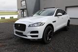 Jaguar F-Pace 25d Prestige AWD - Jaguar Gebrauchtwagen in Osnabrück