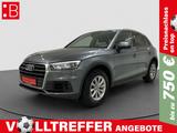 Audi Q5 50 TDI qu PANO STAND LEDER ACC CAM - Audi Q5 50 TDI Gebrauchtwagen