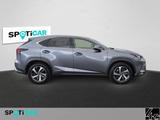 Lexus NX 300 Luxury Line - graue Lexus NX 300