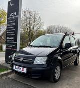 Fiat Panda 1.2 8V Dynamic (KLIMA~TÜV~85TKM) - Fiat Panda: Dynamic