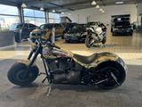 Harley-Davidson Night Train FLSTFI Ricks Custom - HARLEY-DAVIDSON FLST
