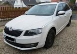 Skoda Octavia 1.6 TDI Greenline Combi Greenline  - Skoda Octavia: Greenline