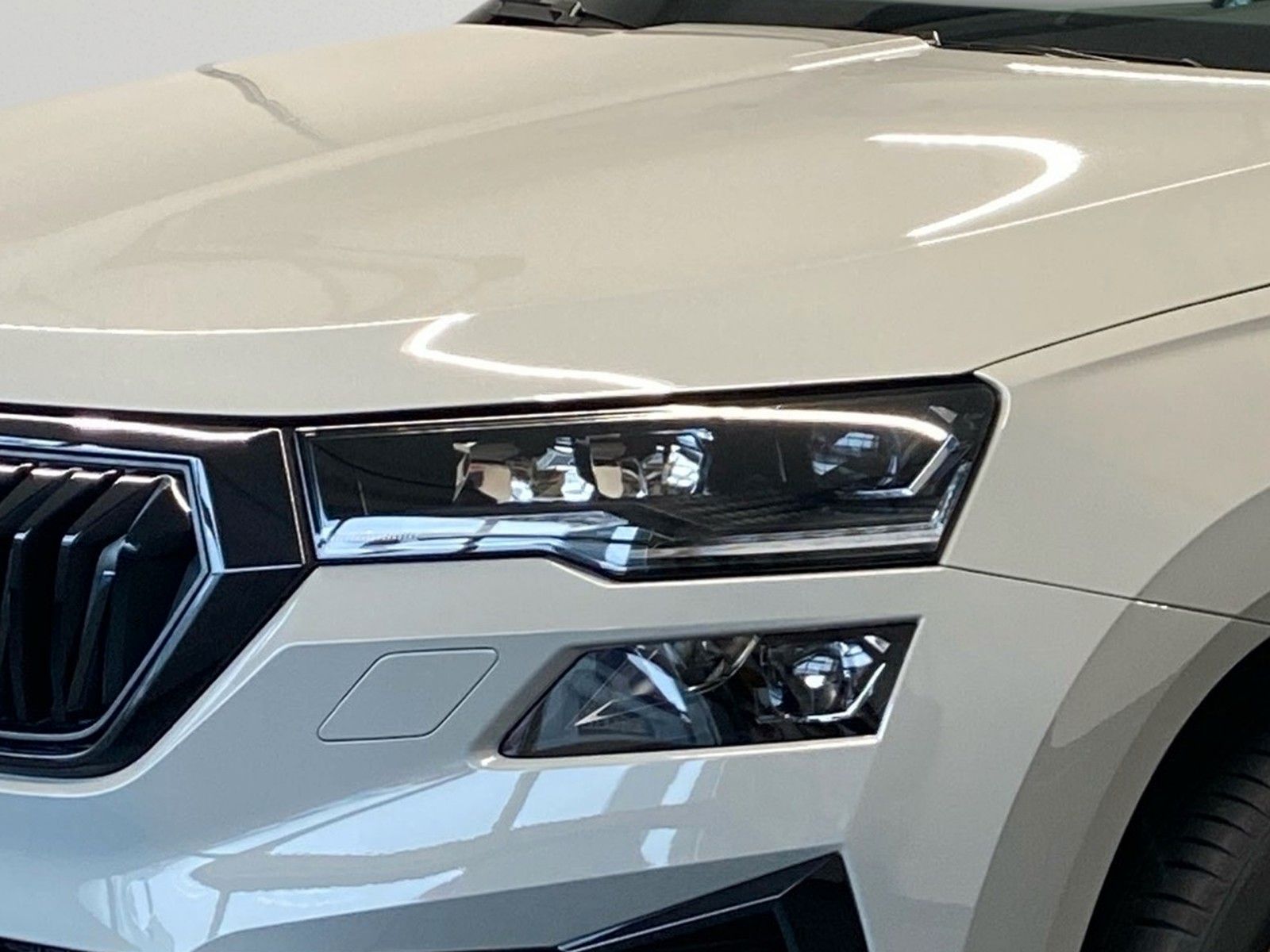 Skoda Karoq - Bild 6