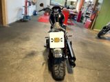 Harley-Davidson FXLRS Low Rider S Custom Paint - HARLEY-DAVIDSON LOW CUSTOM RIDER