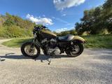Harley-Davidson XL1200N Nightster Sportster 5HD / Falcon / Top - HARLEY-DAVIDSON NIGHTSTER