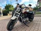 Harley-Davidson Sportster XL883L - NEUZUSTAND -Zubehör-Video! - HARLEY-DAVIDSON 2012 SPORTSTER