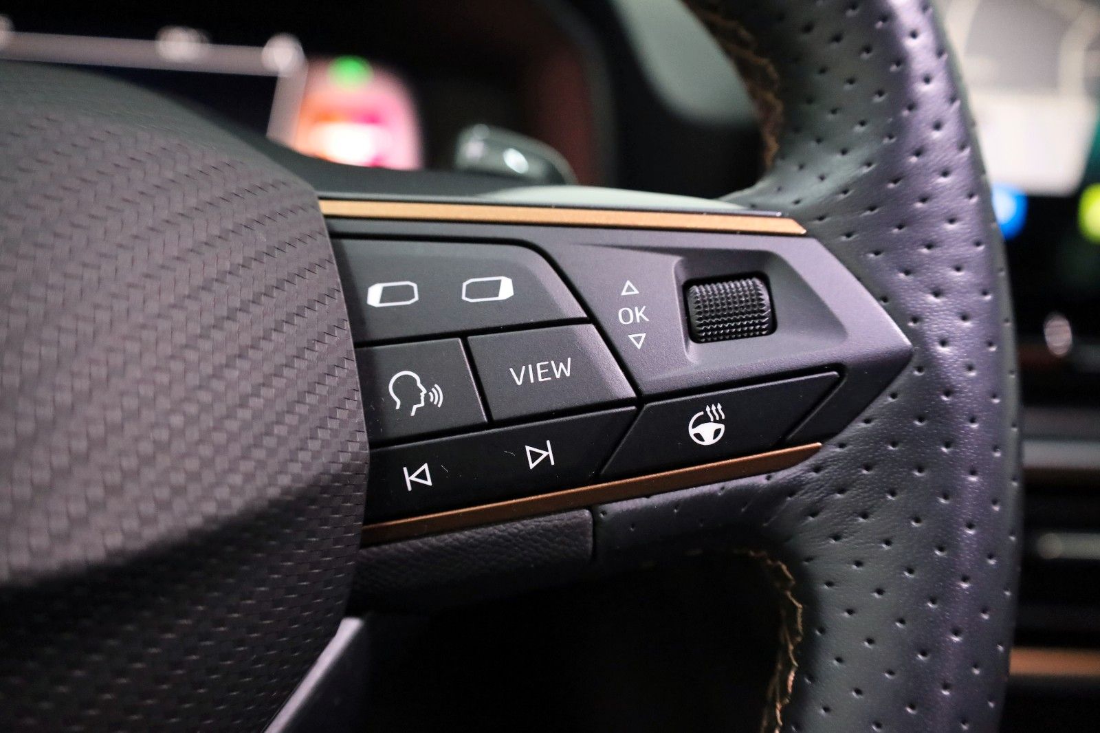 Fahrzeugabbildung CUPRA Leon Sportstourer VZ,Leder,Navi,LED,SH,Kamera+WR