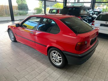 BMW 316 - 5