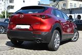 Mazda CX-30 Selection Skyactiv-G Aut. *360°-Kam*HUD* - Mazda CX-30 Gebrauchtwagen in Frankfurt