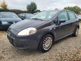 Fiat Punto - graue Fiat Punto
