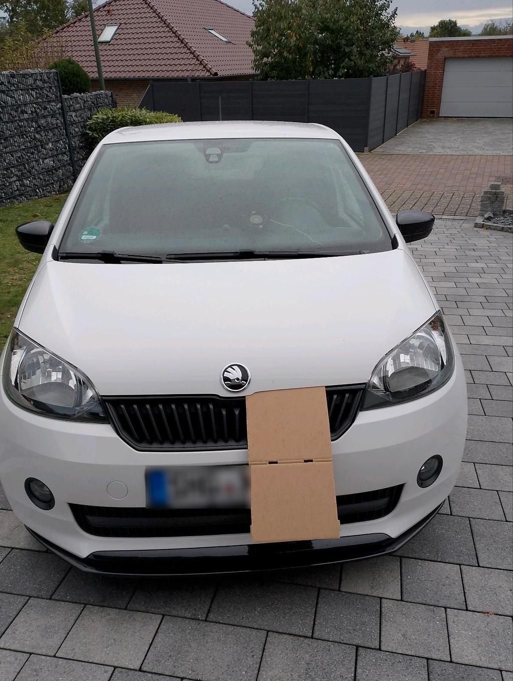 Skoda Auto. Skoda zitigo