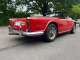 Triumph TR5/250 Overdrive Cabrio Roadster Oldtimer H Zul - gebrauchte Triumph Cabrios