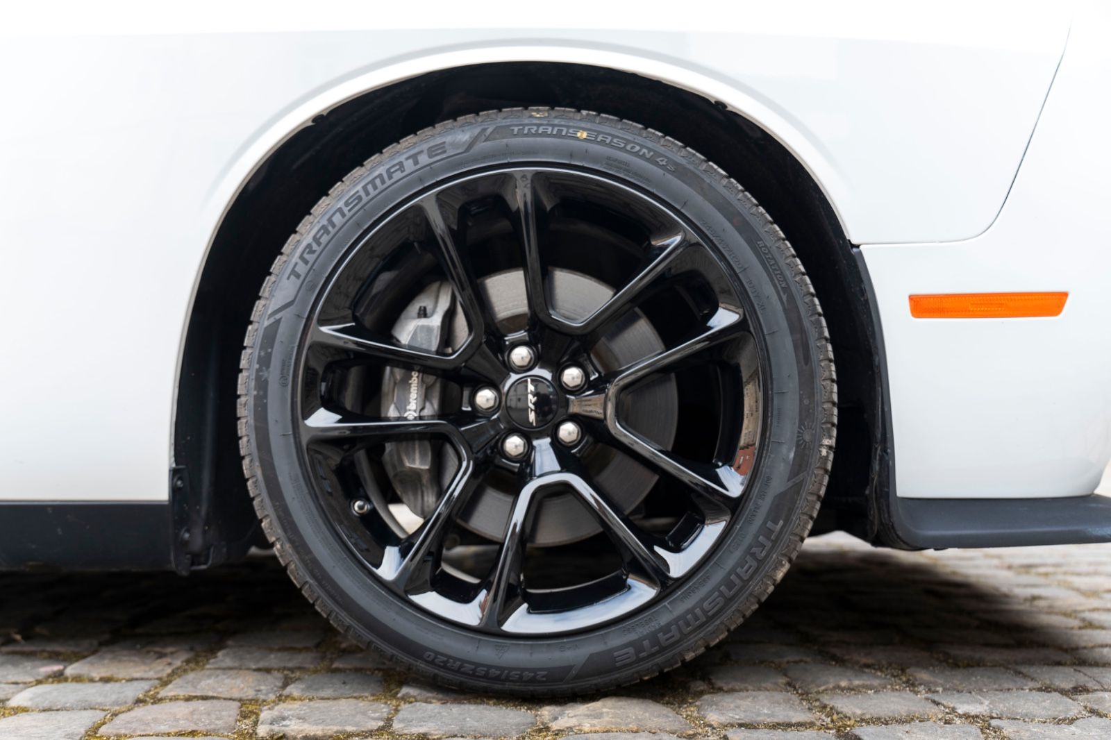 Fahrzeugabbildung Dodge Challenger 6,4L SCAT PACK ALPINE CARPLAY KAM