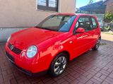 Volkswagen Lupo 1.4i 1.HAND+TÜV 02/27+ EFH - Volkswagen Lupo: Rot