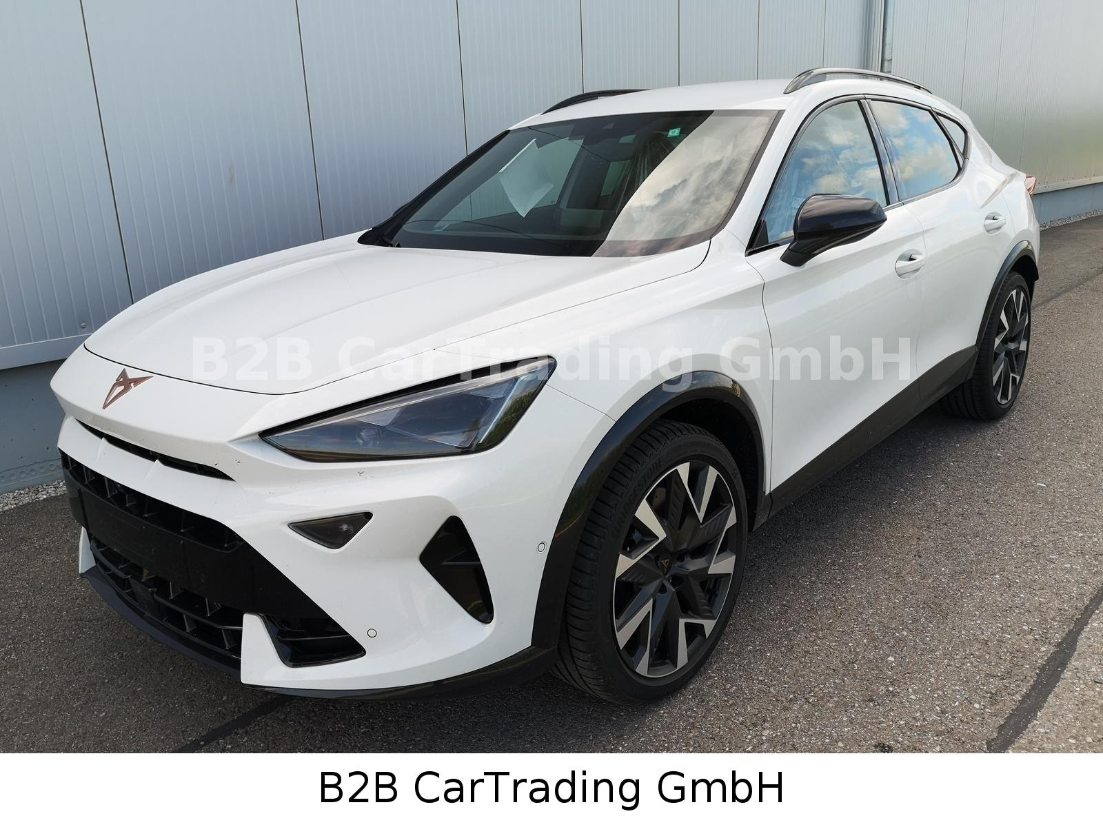 Cupra Formentor 2.0TSI DSG 4Drive AHK GV5 Navi Matrix