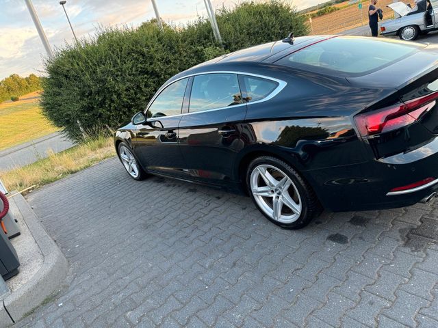 Audi AUDI A5 40TDI 2019