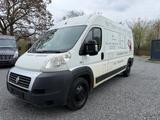 Fiat Ducato Heavy Maxi Grossr.-Kasten 35 130  L4 - Fiat Ducato in Halle