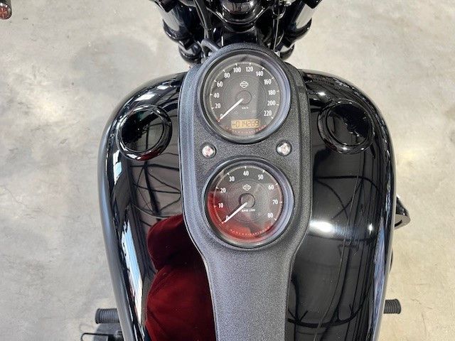 Fahrzeugabbildung Harley-Davidson FXDLS Dyna Low Rider S 110cui Screamin Eagle