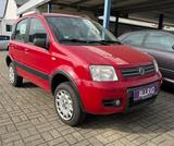 Fiat Panda 1.3 JTD Climbing 4X4 Klima Allrad - Fiat Panda mit Diesel-Antrieb: 1.3