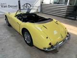 Austin Healey 3000 MK1 BT7 - mit Benzin-Antrieb: Gelb