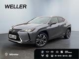 Lexus UX 250h Style Edition *Bi-LED*ACC*CAM*SHZ*CarPla - Lexus UX