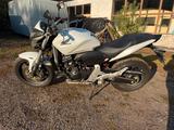 Honda Hornet 600FA  PC41 - HONDA HORNET 600 PC41